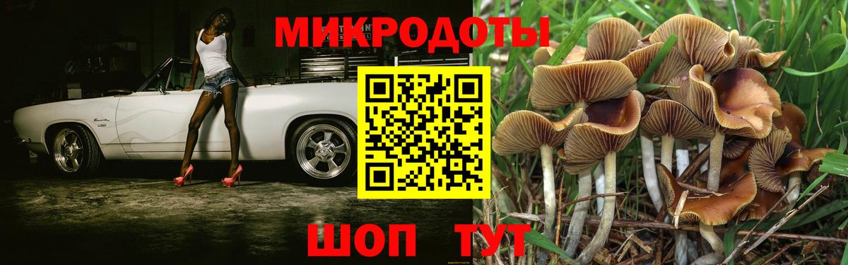Галлюциногенные грибы Cubensis Лабытнанги